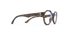 tendências-de-óculos-6